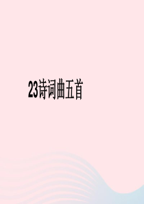 2019年九年级语文下册 第六单元 23《诗词曲五首》过零丁洋课件 新人教版