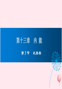 2019年九年级物理全册 10.3探究——物质的比热容课件 （新版）北师大版