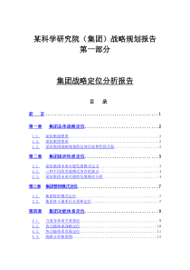 战略定位分析报告