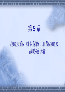 战略实施,组织结构,职能战略2