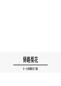 2019年春七年级语文下册 第四单元 14《驿路梨花》课件 新人教版