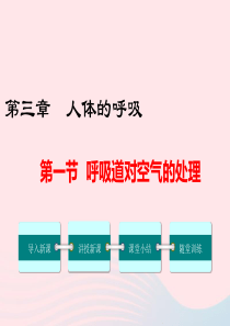 2019年春七年级生物下册 第四单元 第三章 第一节 呼吸道对空气的处理课件 （新版）新人教版