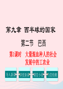 2019年春七年级地理下册 第九章 第二节 巴西（第1课时 大量混血种人的社会 发展中的工农业）课件