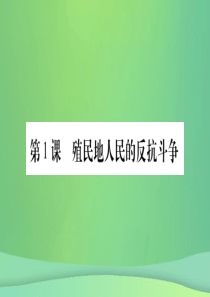 2019年春九年级历史下册 第一单元 殖民地人民的反抗与资本主义制度的扩展 第1课 殖民地人民的反抗