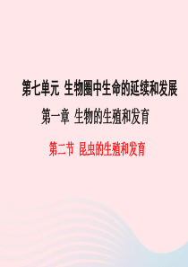 2019年春八年级生物下册 第七单元 第一章 第二节 昆虫的生殖和发育课件 （新版）新人教版