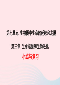 2019年春八年级生物下册 第七单元 第三章 生命起源和生物进化小结与复习课件 （新版）新人教版