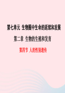 2019年春八年级生物下册 第七单元 第二章 第四节 人的性别遗传课件 （新版）新人教版