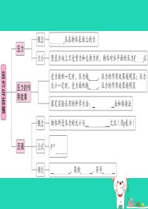 2019年八年级物理下册 第九章 第1节 压强（第1课时 压力与压强）习题课件 （新版）新人教版