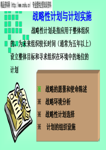 战略性计划与计划实施(ppt118)