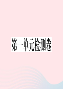 2019九年级道德与法治下册 第一单元 我们共同的世界检测卷课件 新人教版