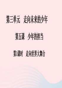 2019九年级道德与法治下册 第三单元 走向未来的少年 第五课 第1框 走向世界大舞台习题课件 新人