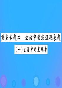 2019届中考物理 第一轮 重点专题突破二 生活中的物理现象题复习课件