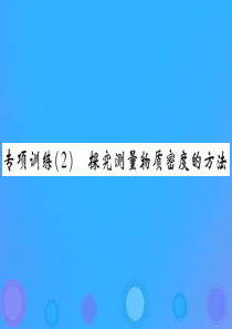 2019届中考物理 第一轮 考点系统复习 专项训练（2）探究测量物质密度的方法课件