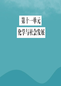 2019届中考化学复习 第十一单元 化学与社会发展课件 鲁教版