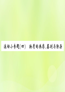 2019届九年级化学下册 第十一单元 盐 化肥 滚动小专题（四）物质的共存、鉴别与除杂复习课件 （新