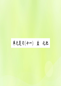 2019届九年级化学下册 第十一单元 盐 化肥 单元复习（十一）盐 化肥复习课件 （新版）新人教版