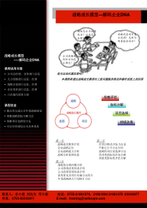 战略成长模型