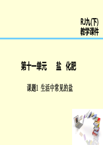 2019届九年级化学下册 第11单元 盐 化肥 课题1 生活中常见的盐课件 （新版）新人教版