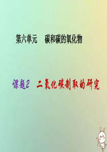 2019届九年级化学上册 第6单元 碳和碳的氧化物 课题2 二氧化碳制取的研究同步课件 （新版）新人