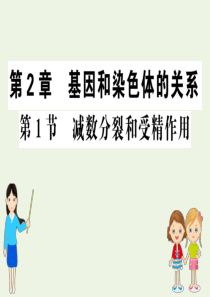 2019高中生物 2.1 减数分裂和受精作用课件 新人教版必修2