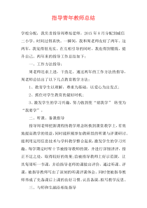 指导青年教师总结