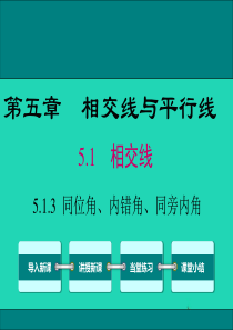 2019春七年级数学下册 第五章 相交线与平行线 5.1 相交线 5.1.3 同位角、内错角、同旁内