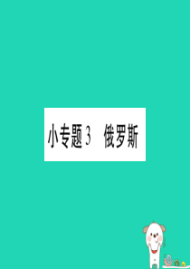 2019春七年级地理下册 小专题3 俄罗斯习题课件 （新版）商务星球版