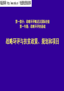 战略环评与扶贫政策-规划和项目(ppt30)