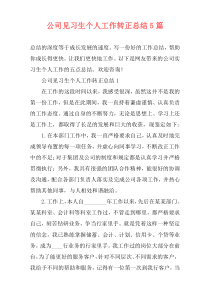 公司见习生个人工作转正总结5篇