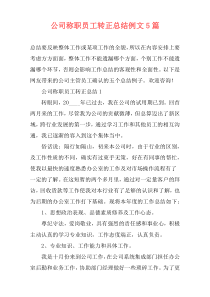 公司称职员工转正总结例文5篇