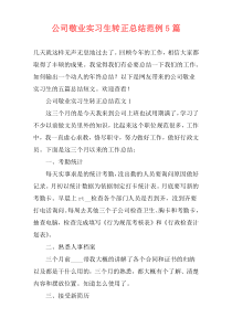 公司敬业实习生转正总结范例5篇