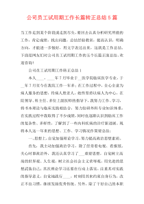 公司员工试用期工作长篇转正总结5篇