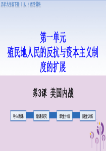 2019春九年级历史下册 第一单元 殖民地人民的反抗与资本主义制度的扩展 第3课 美国内战教学课件 