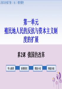 2019春九年级历史下册 第一单元 殖民地人民的反抗与资本主义制度的扩展 第2课 俄国的改革教学课件