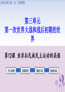 2019春九年级历史下册 第三单元 第一次世界大战和战后初期的世界 第12课 亚非拉民族民主运动的高