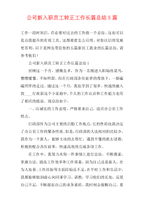 公司新入职员工转正工作长篇总结5篇