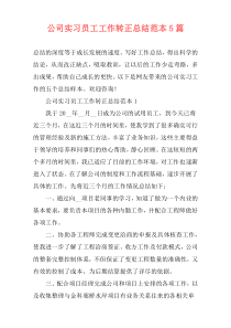 公司实习员工工作转正总结范本5篇