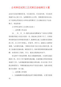 公司单位试用工正式转正总结例文5篇