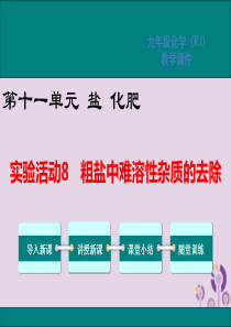 2019春九年级化学下册 第十一单元 盐 化肥 实验活动8 粗盐中难溶性杂质的去除教学课件 （新版）