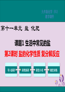 2019春九年级化学下册 第十一单元 盐 化肥 课题1 生活中常见的盐 第2课时 盐的化学性质 复分