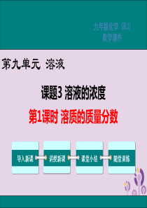 2019春九年级化学下册 第九单元 溶液 课题3 溶液的浓度 第1课时 溶质的质量分数教学课件 （新