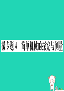 2019春八年级物理下册 微专题4 简单机械的探究与测量习题课件 （新版）新人教版