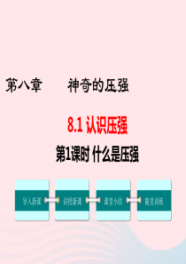 2019春八年级物理下册 8.1 认识压强（第1课时 什么是压强）课件 （新版）粤教沪版