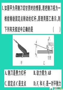 2019春八年级物理全册 第十章 第一节 科学探究 杠杆的平衡条件（第2课时 杠杆平衡条件的应用）习