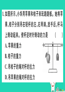 2019春八年级物理全册 第十章 第一节 科学探究 杠杆的平衡条件（第1课时 认识杠杆和杠杆的平衡条