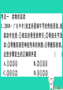 2019春八年级生物下册 专题复习八 动物的运动和行为习题课件 （新版）北师大版