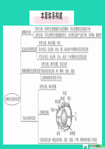 2019春八年级生物下册 第七单元 第一章 生物的生殖和发育小结与复习习题课件 （新版）新人教版