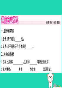 2019春八年级生物下册 第七单元 第二章 第一节 基因控制生物的性状习题课件 （新版）新人教版