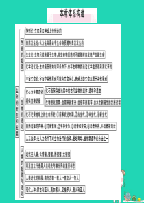 2019春八年级生物下册 第7单元 第21章 生命的发生和发展小结与复习习题课件 （新版）北师大版