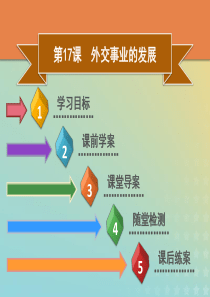 2019春八年级历史下册 第五单元 国防建设与外交成就 第17课 外交事业的发展导学课件 新人教版